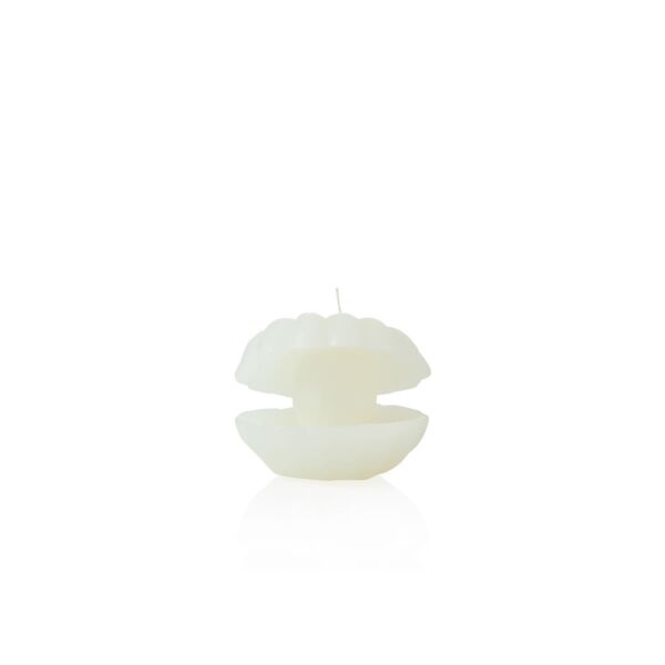 baytonia_main product photo