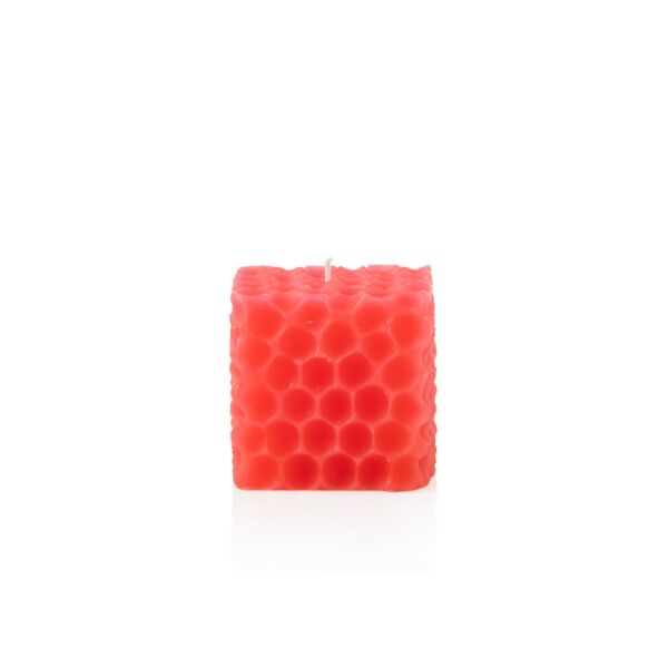 baytonia_main product photo