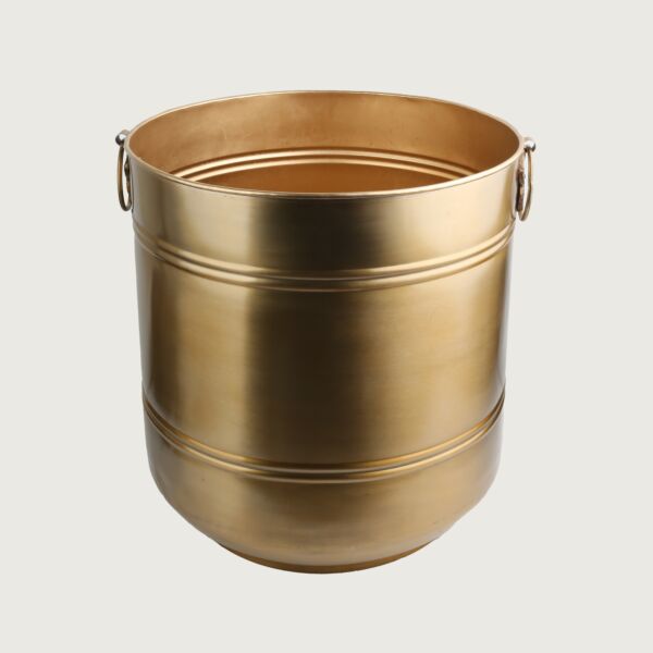 baytonia_main product photo