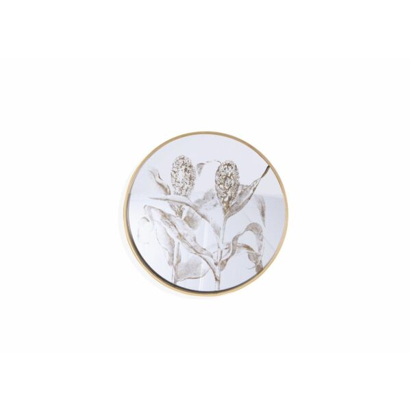 baytonia_main product photo