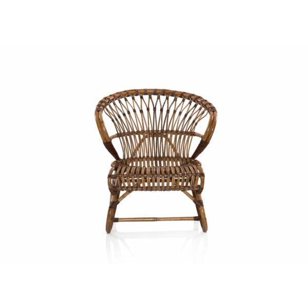 baytonia_main product photo
