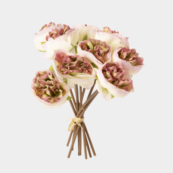 baytonia_main product photo