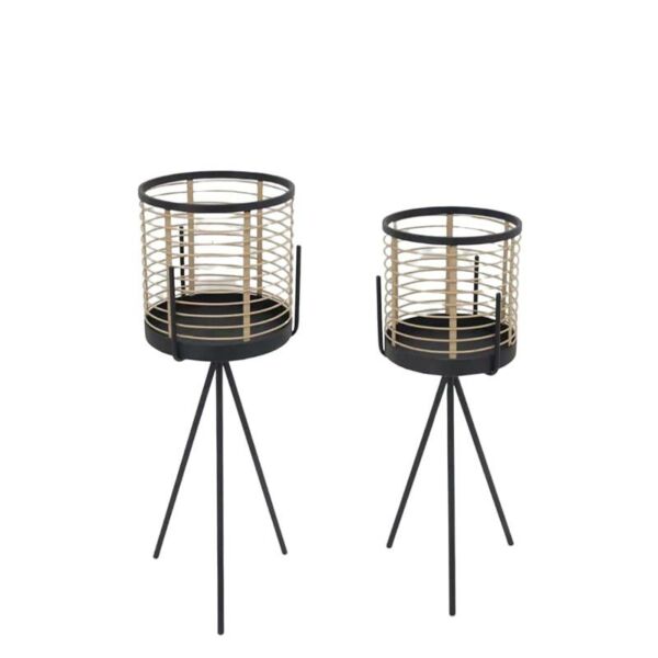 baytonia_main product photo