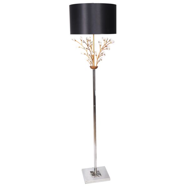 baytonia_main product photo
