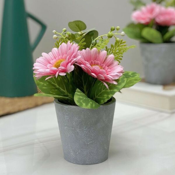 baytonia_main product photo