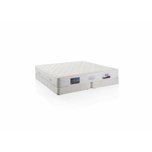 baytonia_main product photo