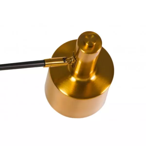 baytonia_gallery_image