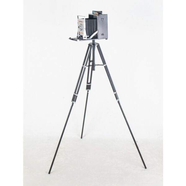 baytonia_main product photo