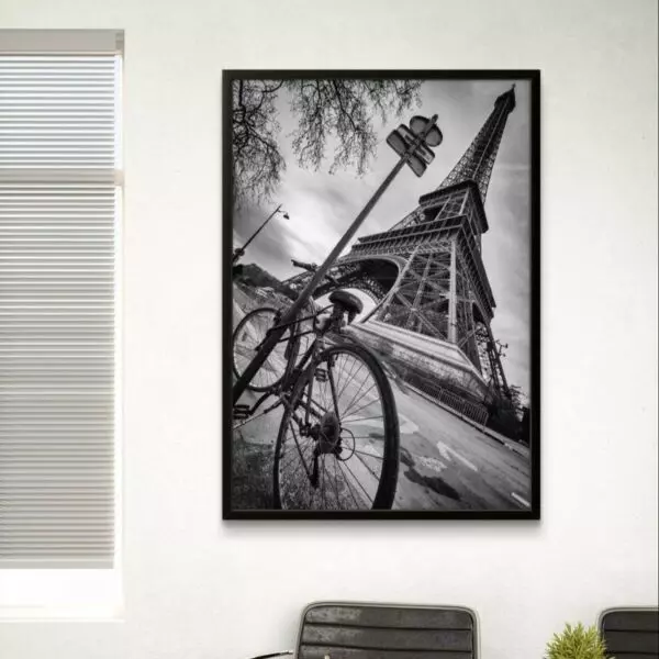 baytonia_gallery_image