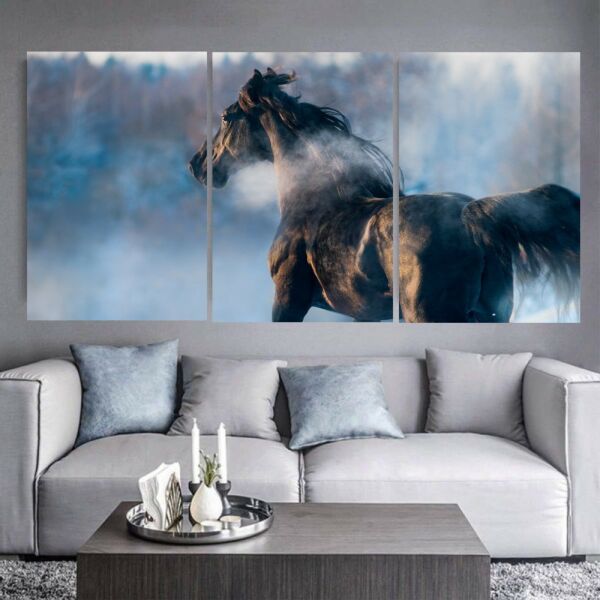 baytonia_main product photo