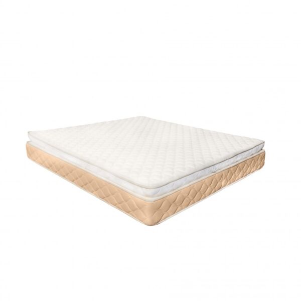 baytonia_main product photo