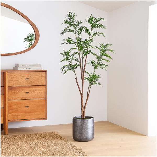 baytonia_main product photo