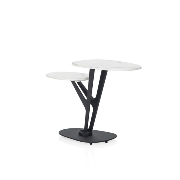 baytonia_main product photo