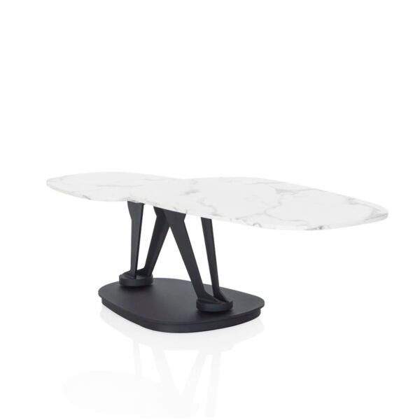 baytonia_main product photo