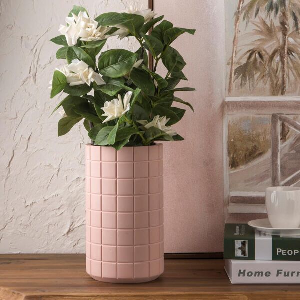 baytonia_main product photo