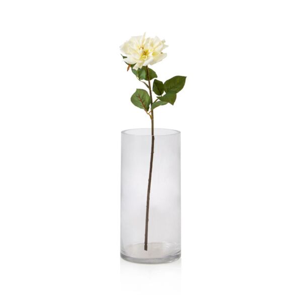 baytonia_main product photo