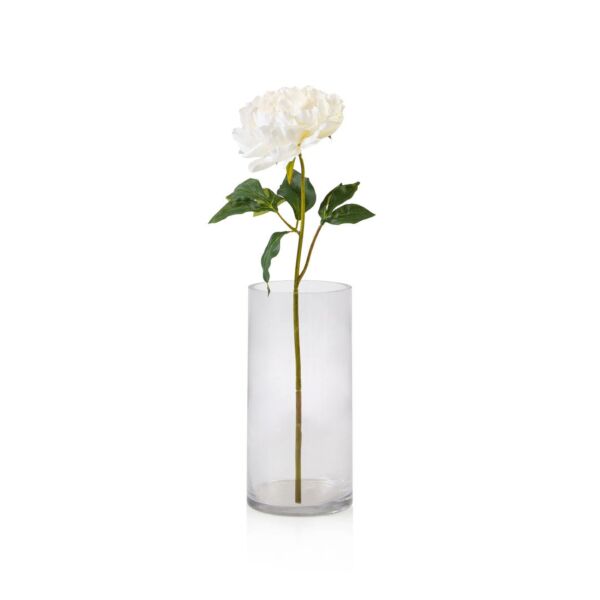 baytonia_main product photo