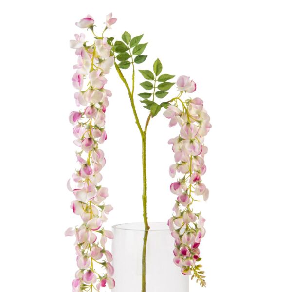 baytonia_main product photo