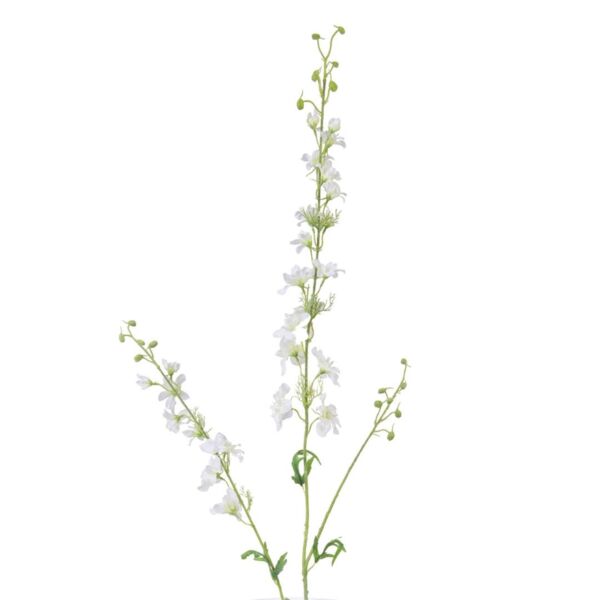 baytonia_main product photo