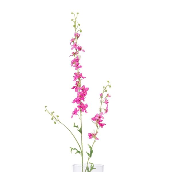 baytonia_main product photo