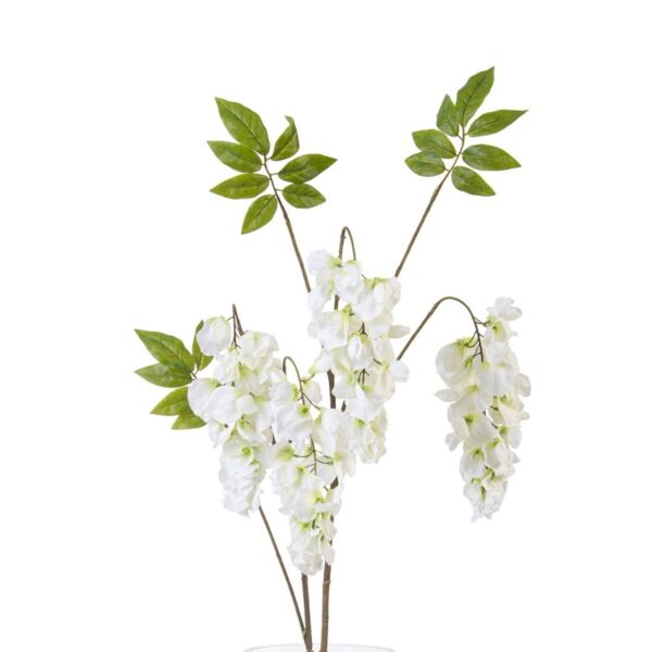 baytonia_main product photo