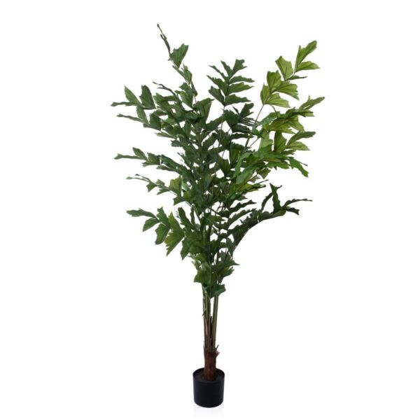 baytonia_main product photo