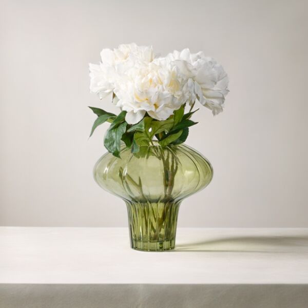 baytonia_main product photo