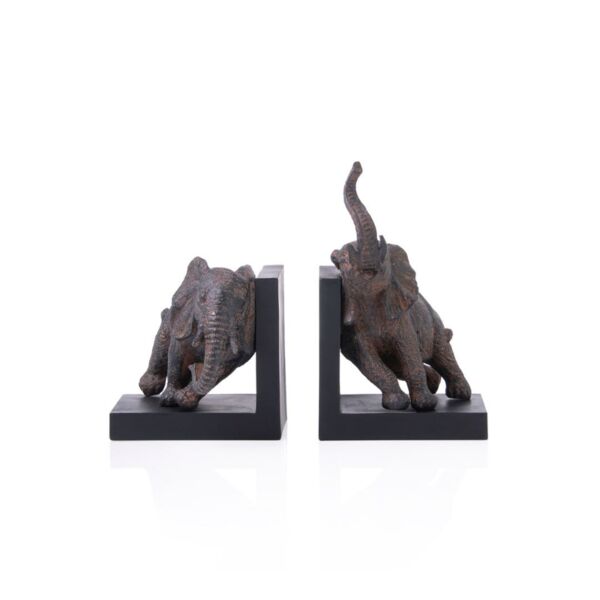 baytonia_main product photo