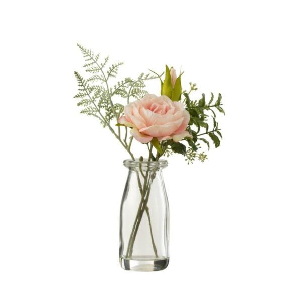 baytonia_main product photo