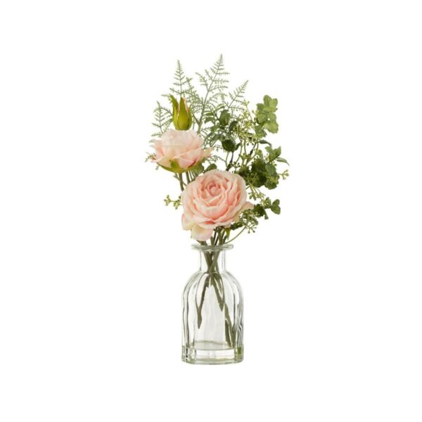 baytonia_main product photo