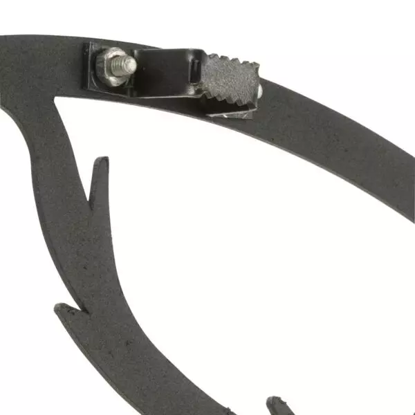 baytonia_gallery_image