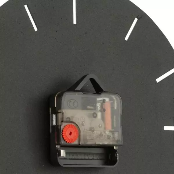 baytonia_gallery_image