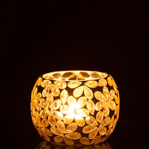 baytonia_main product photo