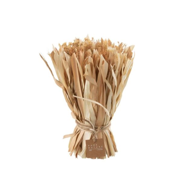 baytonia_main product photo