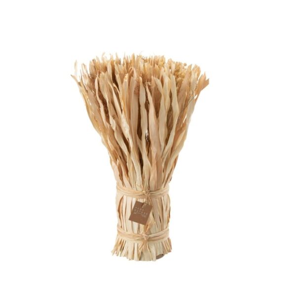 baytonia_main product photo