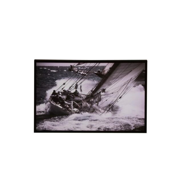 baytonia_main product photo