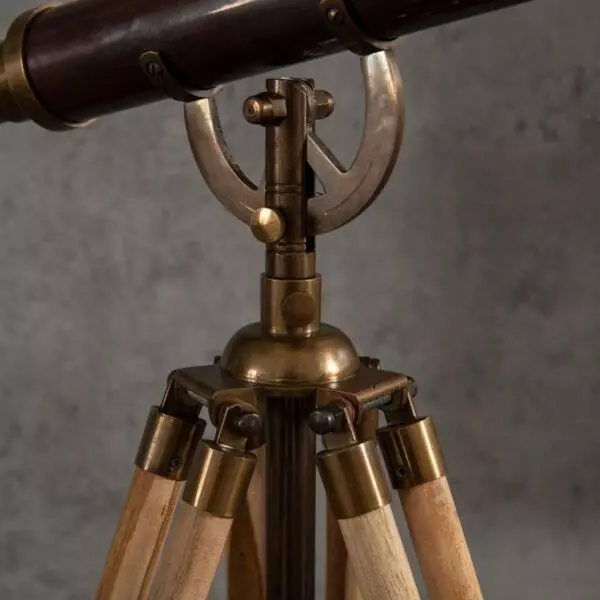 baytonia_gallery_image