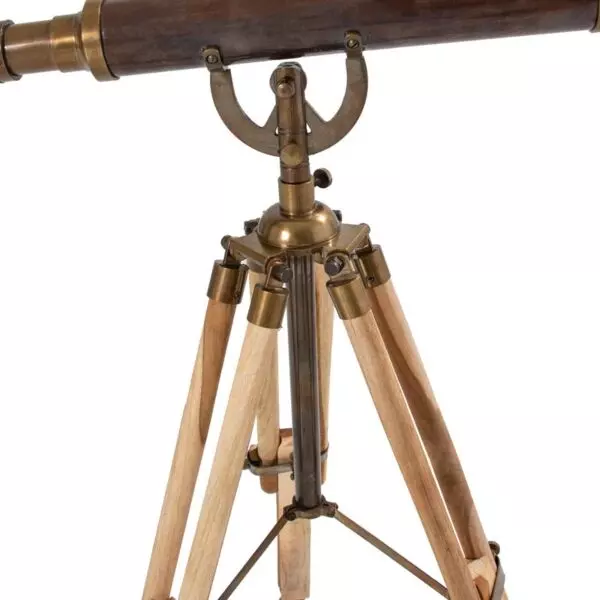 baytonia_gallery_image