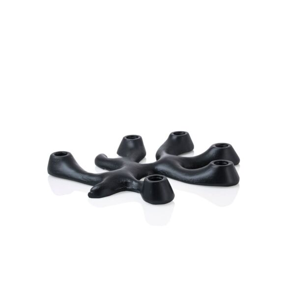 baytonia_main product photo