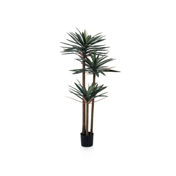 baytonia_main product photo