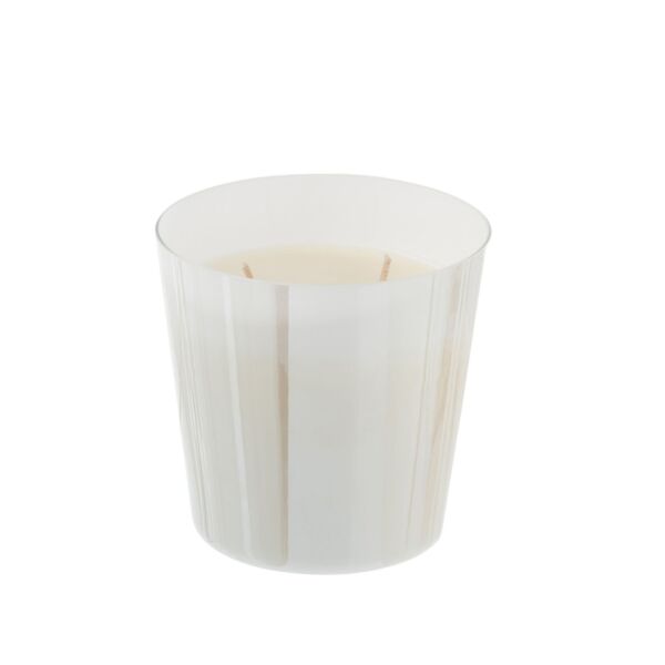 baytonia_main product photo