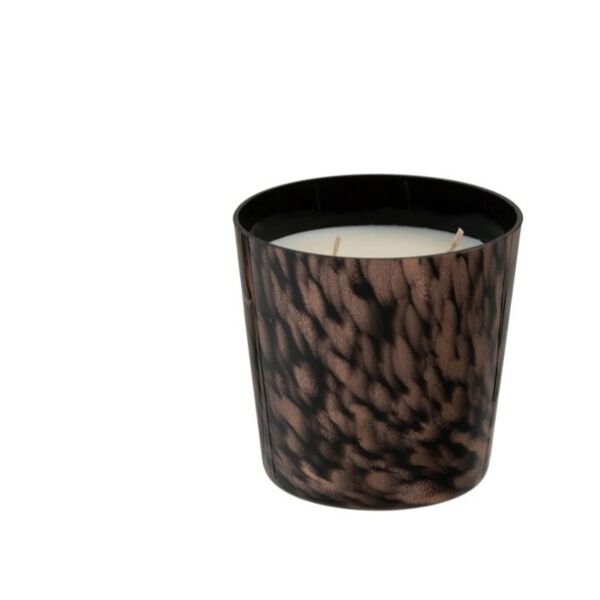baytonia_main product photo
