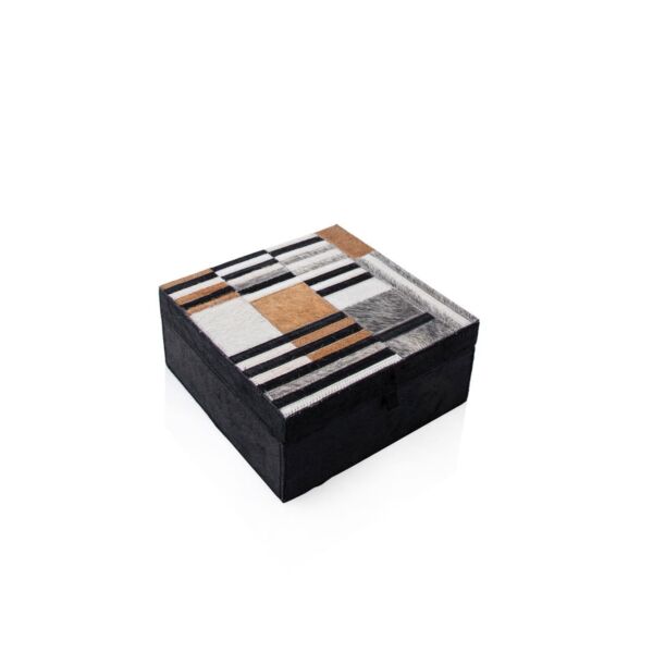 baytonia_main product photo