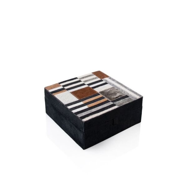 baytonia_main product photo