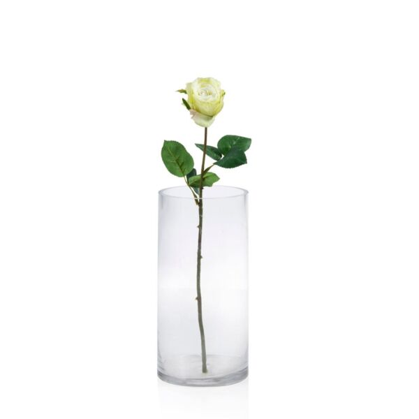 baytonia_main product photo