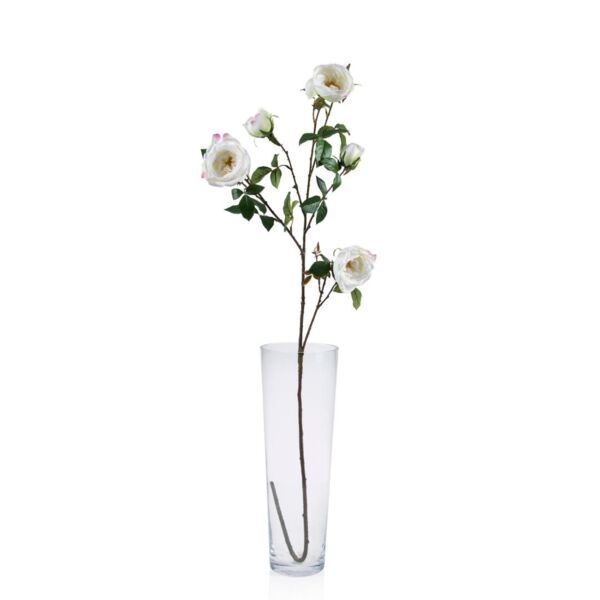 baytonia_main product photo