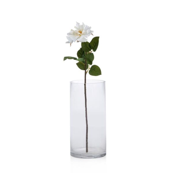 baytonia_main product photo