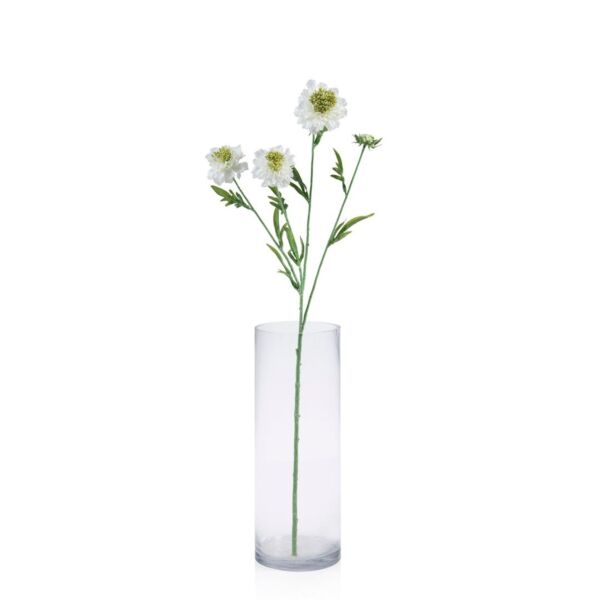 baytonia_main product photo