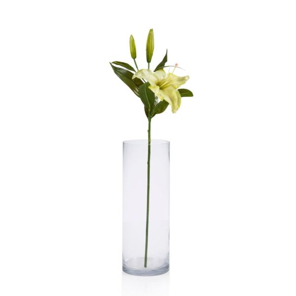 baytonia_main product photo
