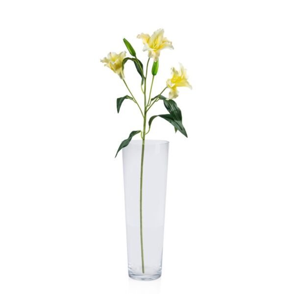 baytonia_main product photo